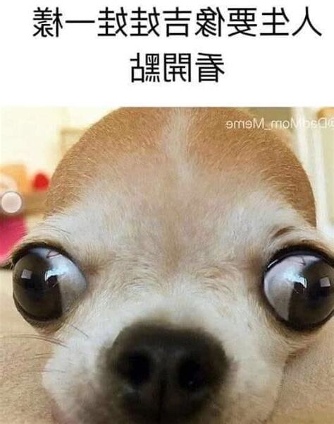 看很開 梗圖